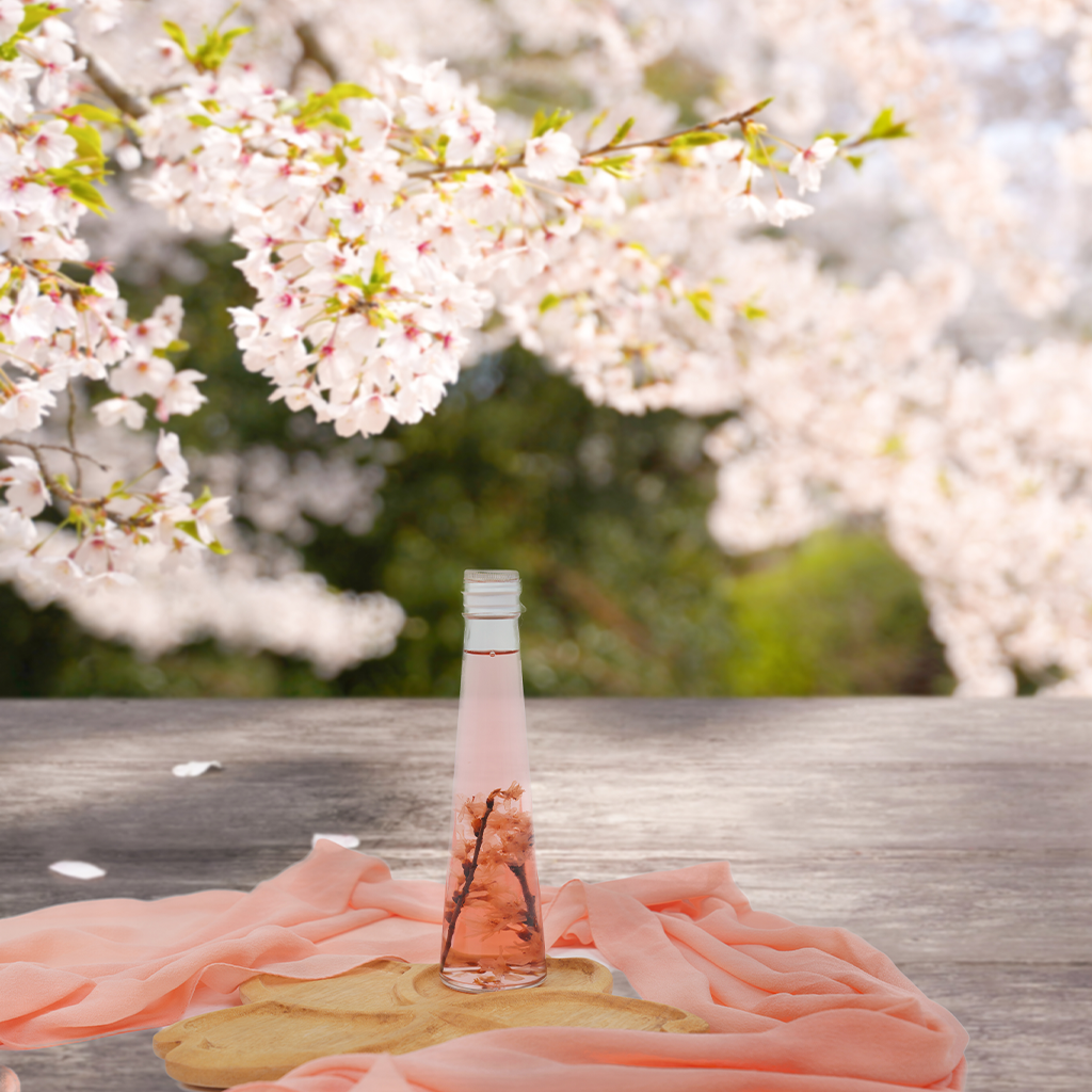 吉野の桜で染めたシルクシフォンのアーシングストール