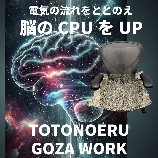 【脳のCPUを上げる！】TOTONOERU GOZA WORK　～体内電位を整えて～
